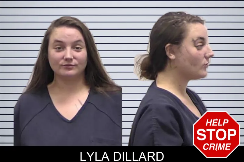 Lyla Dillard mugshot – Clarke County , Georgia Lyla Dillard mugshot