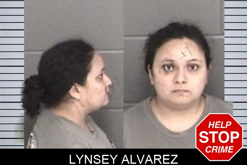 Lynsey Alvarez mugshot