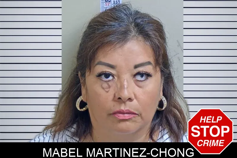 Mabel Martinez-Chong mugshot – Gwinnett County , Georgia Mabel Martinez-Chong mugshot