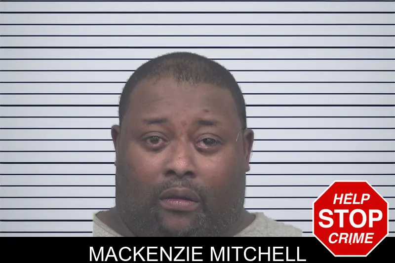 Mackenzie Mitchell mugshot – Gwinnett County , Georgia Mackenzie Mitchell mugshot