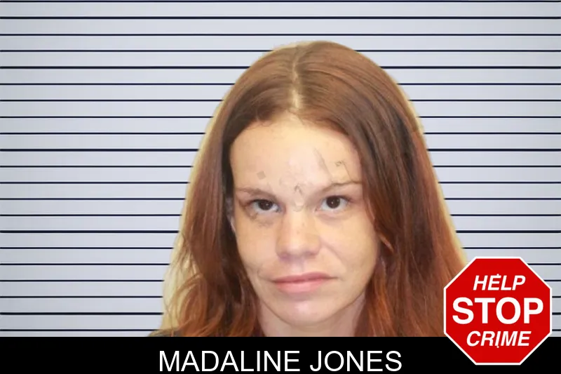 Madaline Jones mugshot – Chatham County , Georgia Madaline Jones mugshot