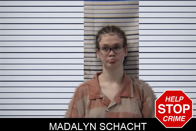Madalyn Schacht mugshot – Stephens County , Georgia Madalyn Schacht mugshot
