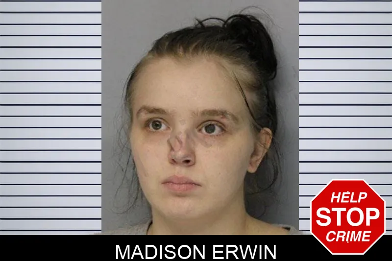 Madison Erwin mugshot – Hall County , Georgia Madison Erwin mugshot