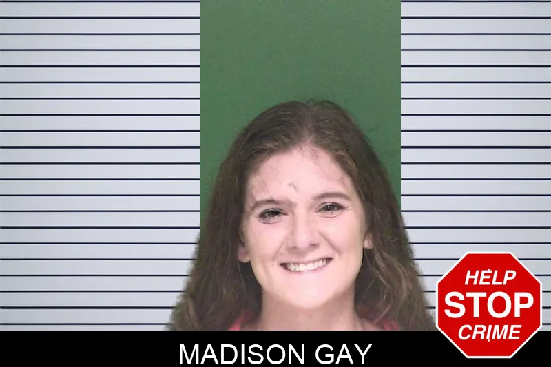 Madison Gay mugshot – Appling County , Georgia Madison Gay mugshot
