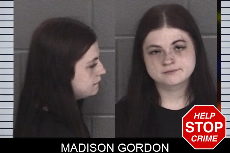 Madison Gordon mugshot – Barrow County , Georgia Madison Gordon mugshot