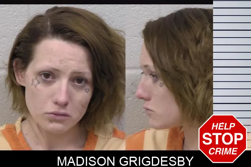 Madison Grigdesby mugshot