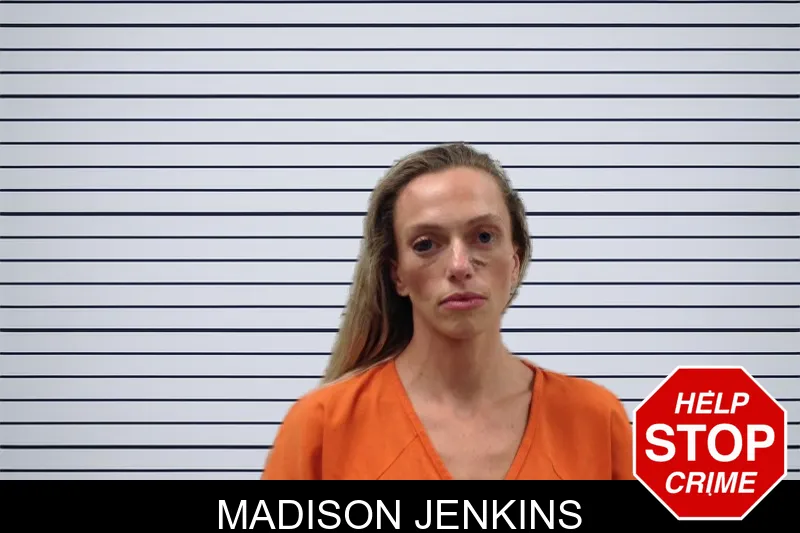 Madison Jenkins mugshot – Pickens County , Georgia Madison Jenkins mugshot