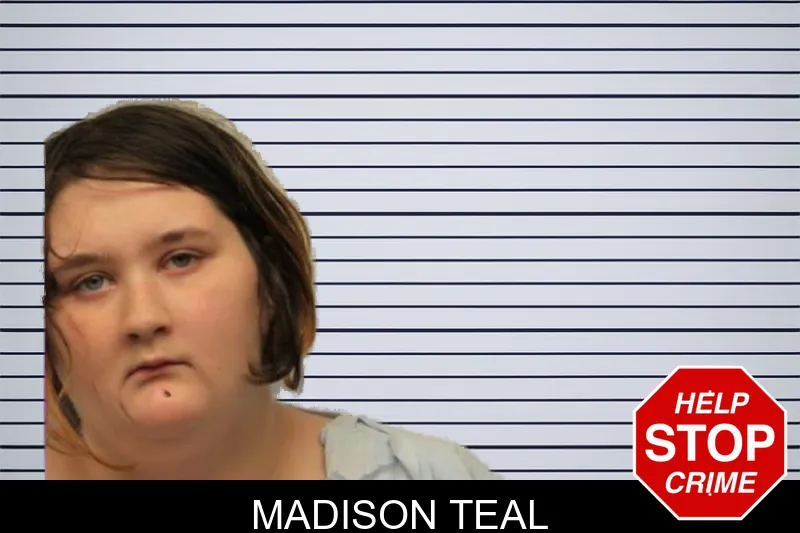 Madison Teal mugshot – Chatham County , Georgia Madison Teal mugshot