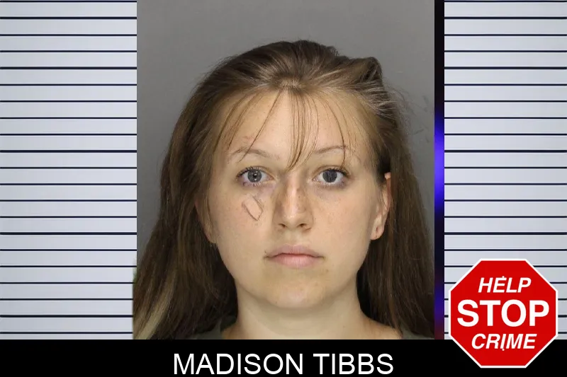 Madison Tibbs mugshot – Cobb County , Georgia Madison Tibbs mugshot