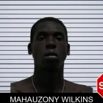 Mahauzony Wilkins mugshot – Pierce County , Georgia Mahauzony Wilkins mugshot