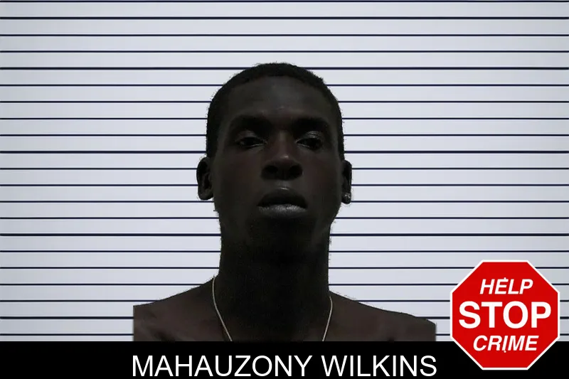 Mahauzony Wilkins mugshot