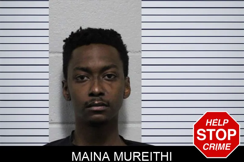 Maina Mureithi mugshot – Habersham County , Georgia Maina Mureithi mugshot