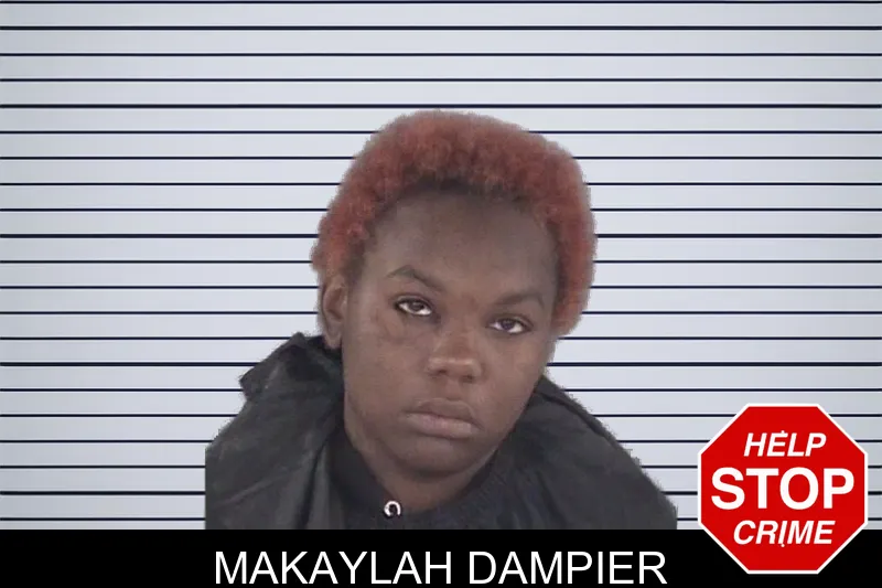 Makaylah Dampier mugshot – Spalding County , Georgia Makaylah Dampier mugshot