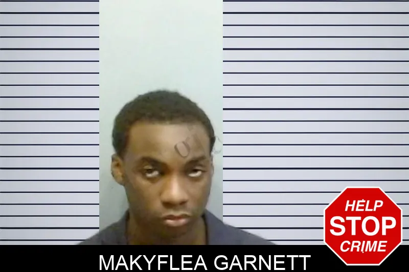 Makyflea Garnett mugshot – Fulton County , Georgia Makyflea Garnett mugshot
