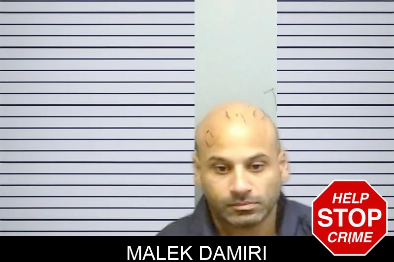 Malek Damiri mugshot – Fulton County , Georgia Malek Damiri mugshot