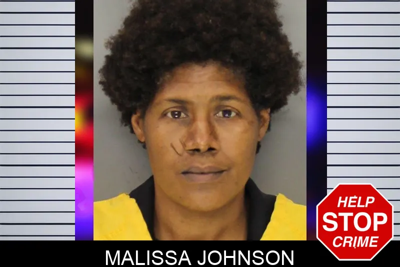Malissa Johnson mugshot – Cobb County , Georgia Malissa Johnson mugshot