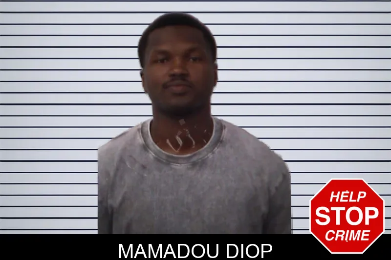 Mamadou Diop mugshot – Emanuel County , Georgia Mamadou Diop mugshot