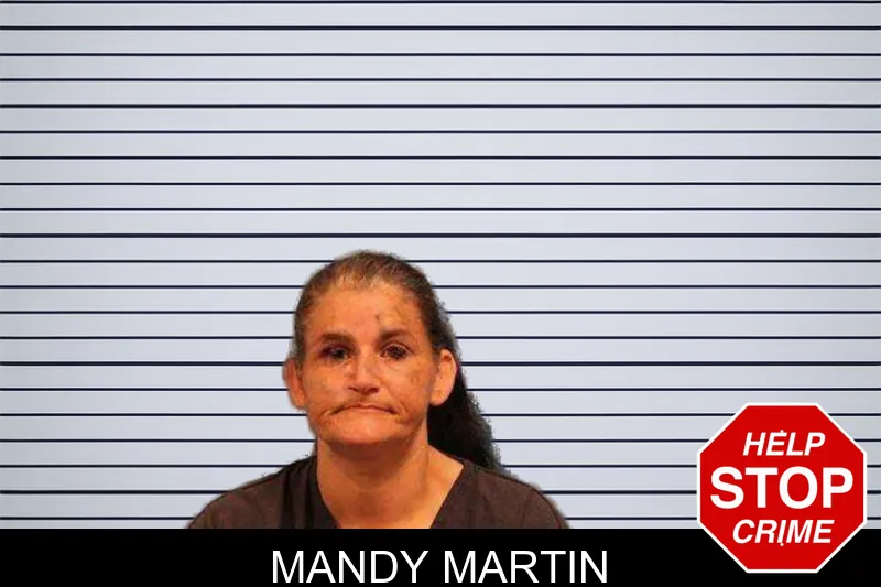 Mandy Martin mugshot – Monroe County , Georgia Mandy Martin mugshot