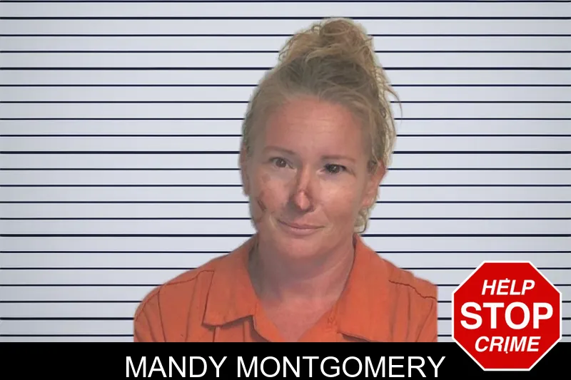 Mandy Montgomery mugshot – Berrien County , Georgia Mandy Montgomery mugshot