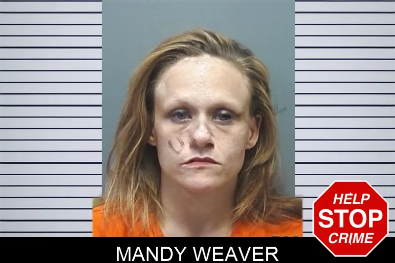 Mandy Weaver mugshot – Cherokee County , Georgia Mandy Weaver mugshot