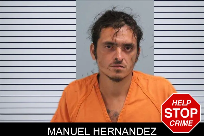 Manuel Hernandez mugshot