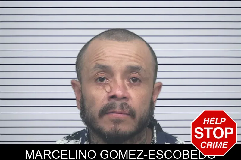 Marcelino Gomez-Escobedo mugshot – Gwinnett County , Georgia Marcelino Gomez-Escobedo mugshot