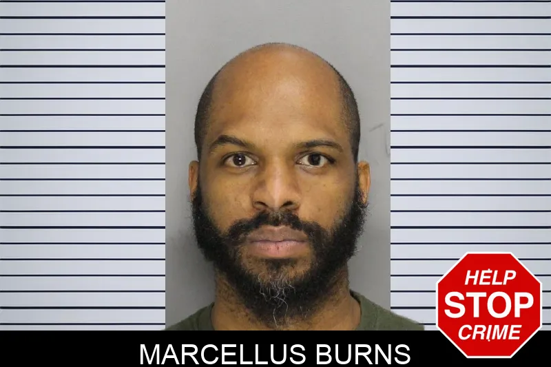 Marcellus Burns mugshot – Cobb County , Georgia Marcellus Burns mugshot