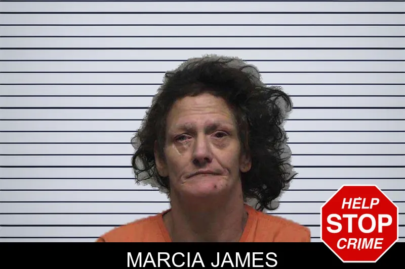 Marcia James mugshot – Laurens County , Georgia Marcia James mugshot