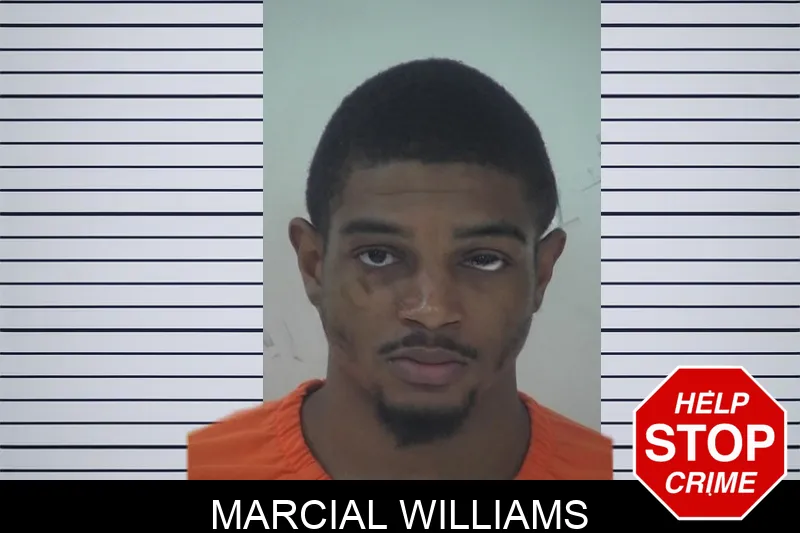 Marcial Williams mugshot – Fayette County , Georgia Marcial Williams mugshot