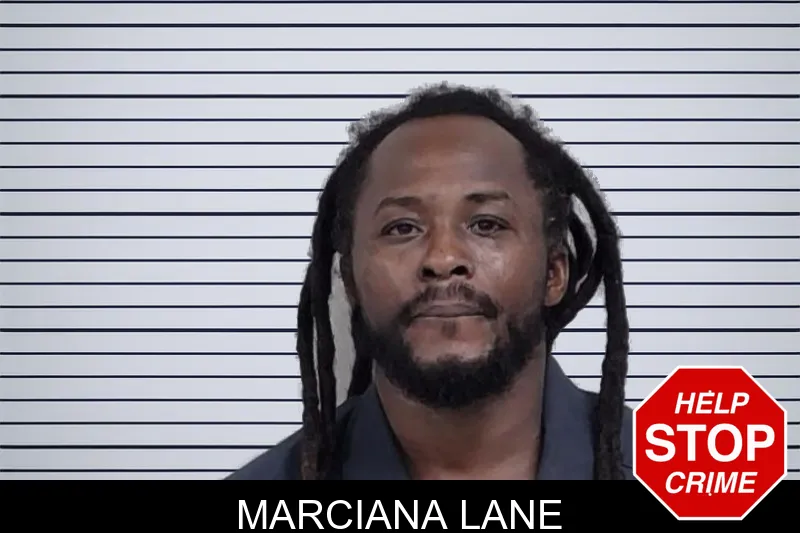 Marciana Lane mugshot – Lowndes County , Georgia Marciana Lane mugshot