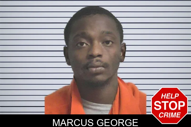 Marcus George mugshot
