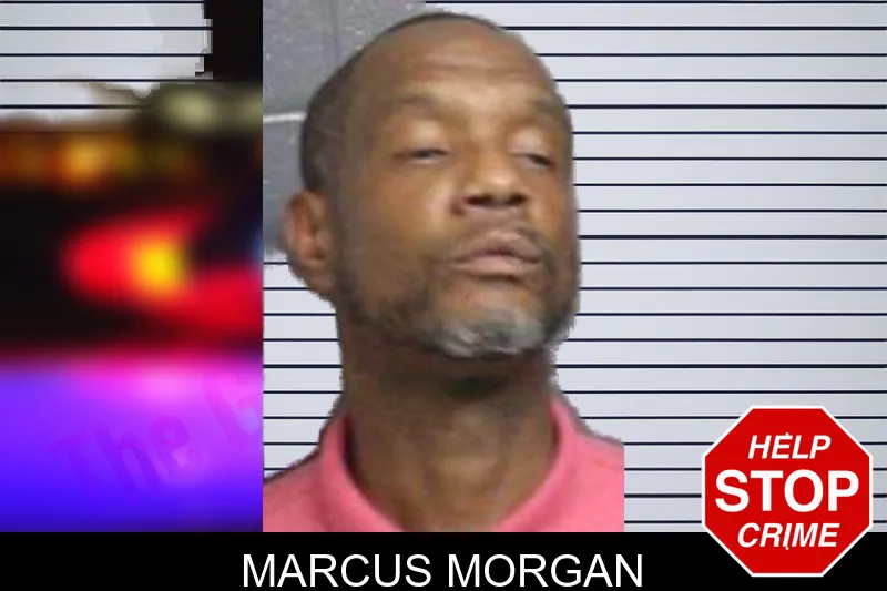Marcus Morgan mugshot – Bacon County , Georgia Marcus Morgan mugshot