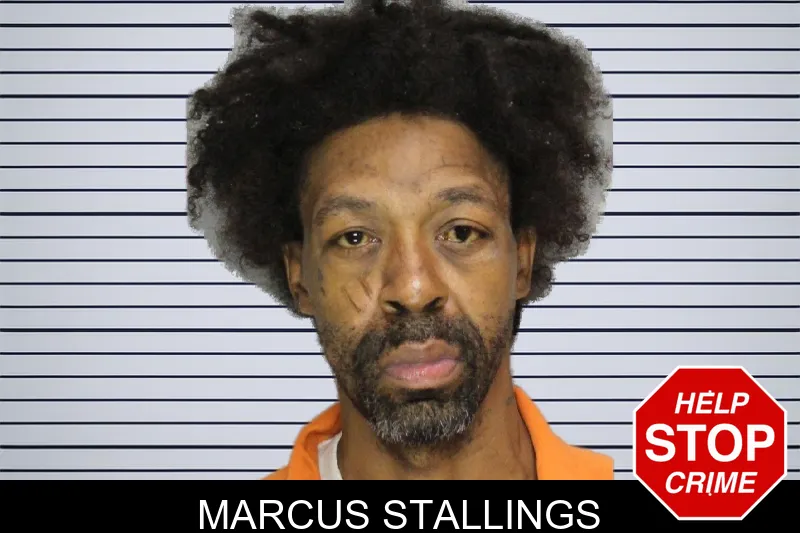 Marcus Stallings mugshot – Cobb County , Georgia Marcus Stallings mugshot