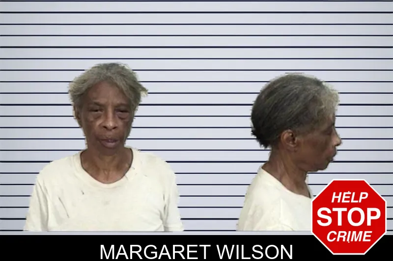 Margaret Wilson mugshot – Camden County , Georgia Margaret Wilson mugshot