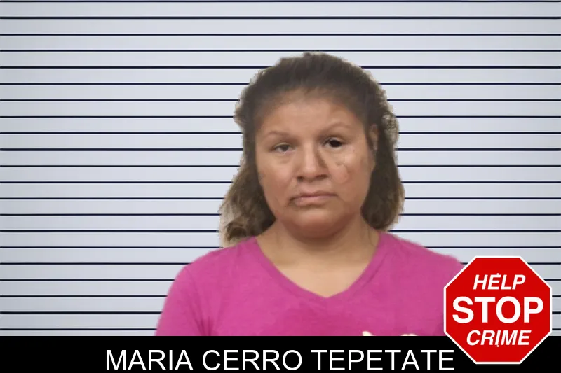 Maria Cerro Tepetate mugshot – Bulloch County , Georgia Maria Cerro Tepetate mugshot