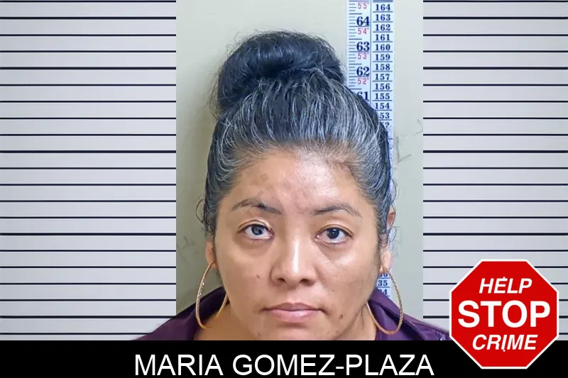 Maria Gomez-Plaza mugshot – Gwinnett County , Georgia Maria Gomez-Plaza mugshot