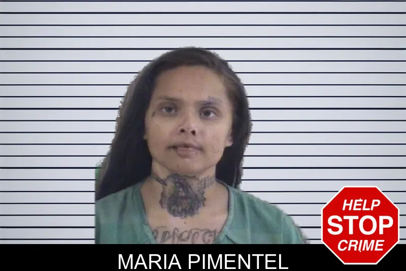 Maria Pimentel mugshot – Whitfield County , Georgia Maria Pimentel mugshot