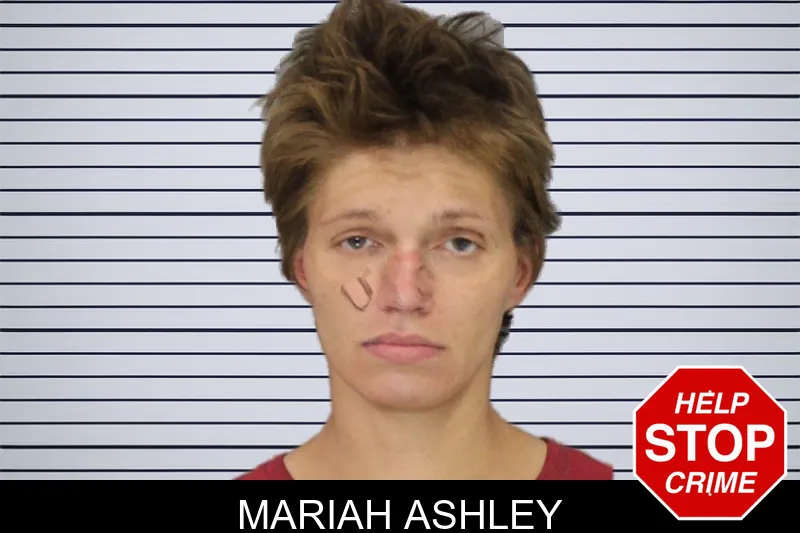 Mariah Ashley mugshot – Cobb County , Georgia Mariah Ashley mugshot