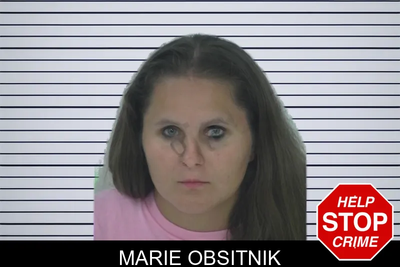 Marie Obsitnik mugshot – Fayette County , Georgia Marie Obsitnik mugshot
