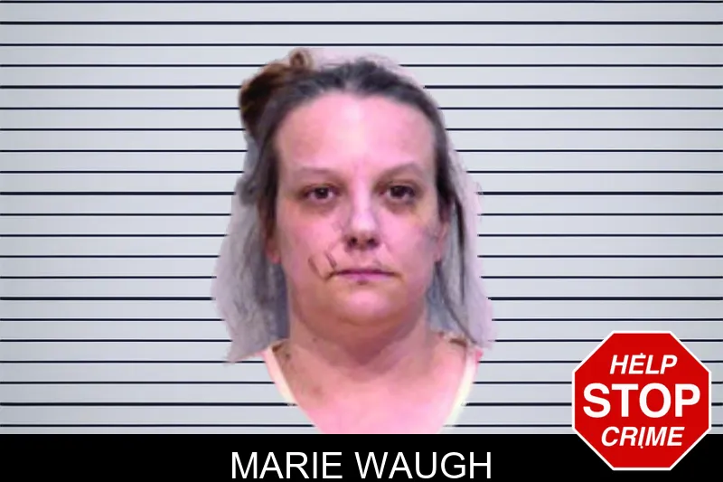 Marie Waugh mugshot – Bartow County , Georgia Marie Waugh mugshot