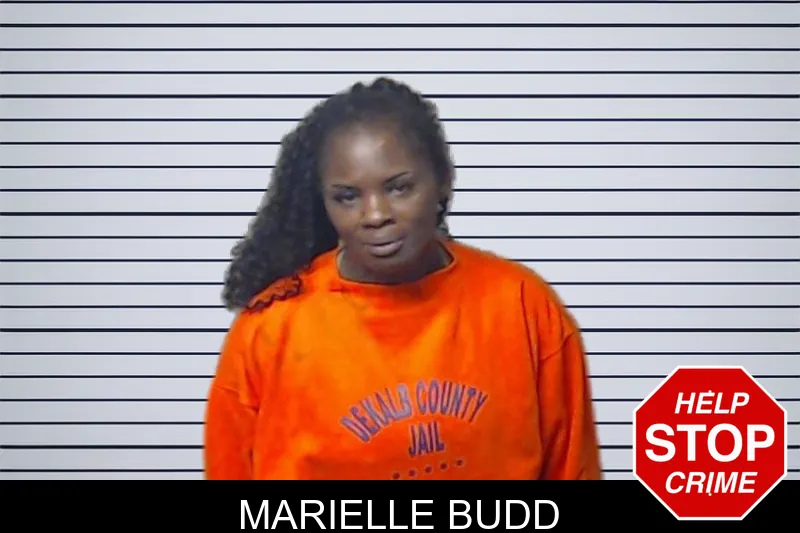 Marielle Budd mugshot – DeKalb County , Georgia Marielle Budd mugshot