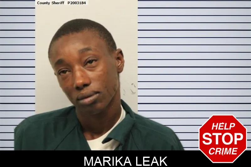 Marika Leak mugshot – Chatham County , Georgia Marika Leak mugshot