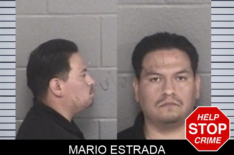 Mario Estrada mugshot