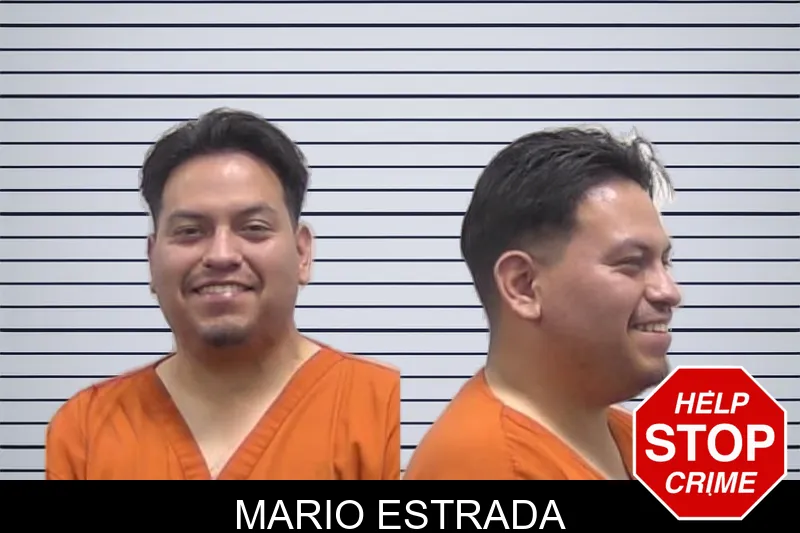 Mario Estrada mugshot