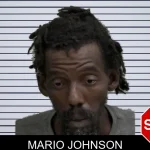 Mario Johnson mugshot – Wayne County , Georgia Mario Johnson mugshot