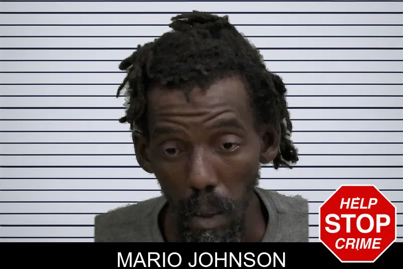 Mario Johnson mugshot – Wayne County , Georgia Mario Johnson mugshot