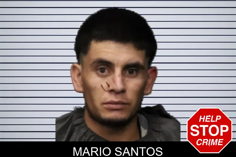 Mario Santos mugshot