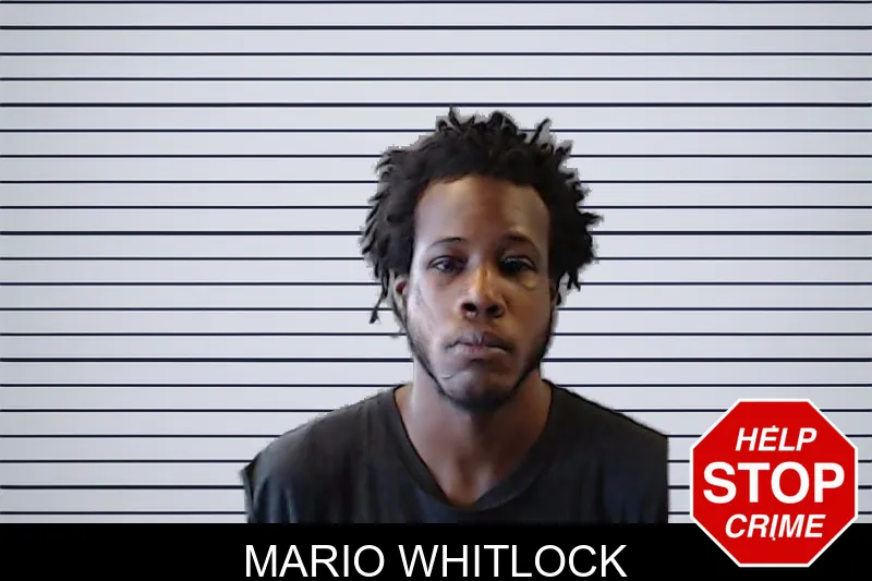 Mario Whitlock mugshot