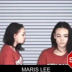 Maris Lee mugshot – Barrow County , Georgia Maris Lee mugshot