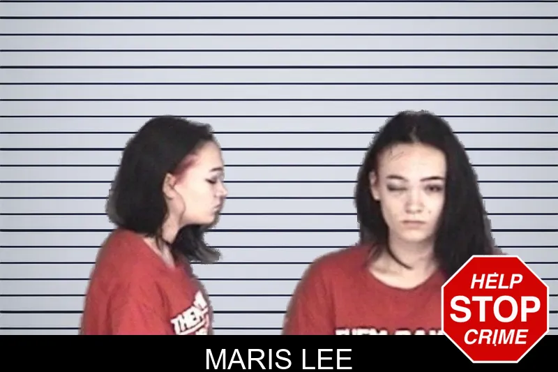 Maris Lee mugshot – Barrow County , Georgia Maris Lee mugshot